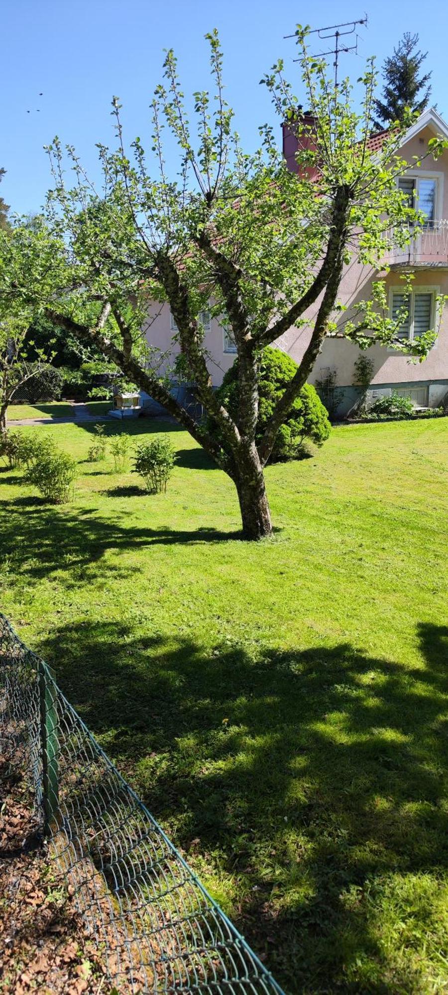 Hela Boendet Uthyres Overlida Bagian luar foto