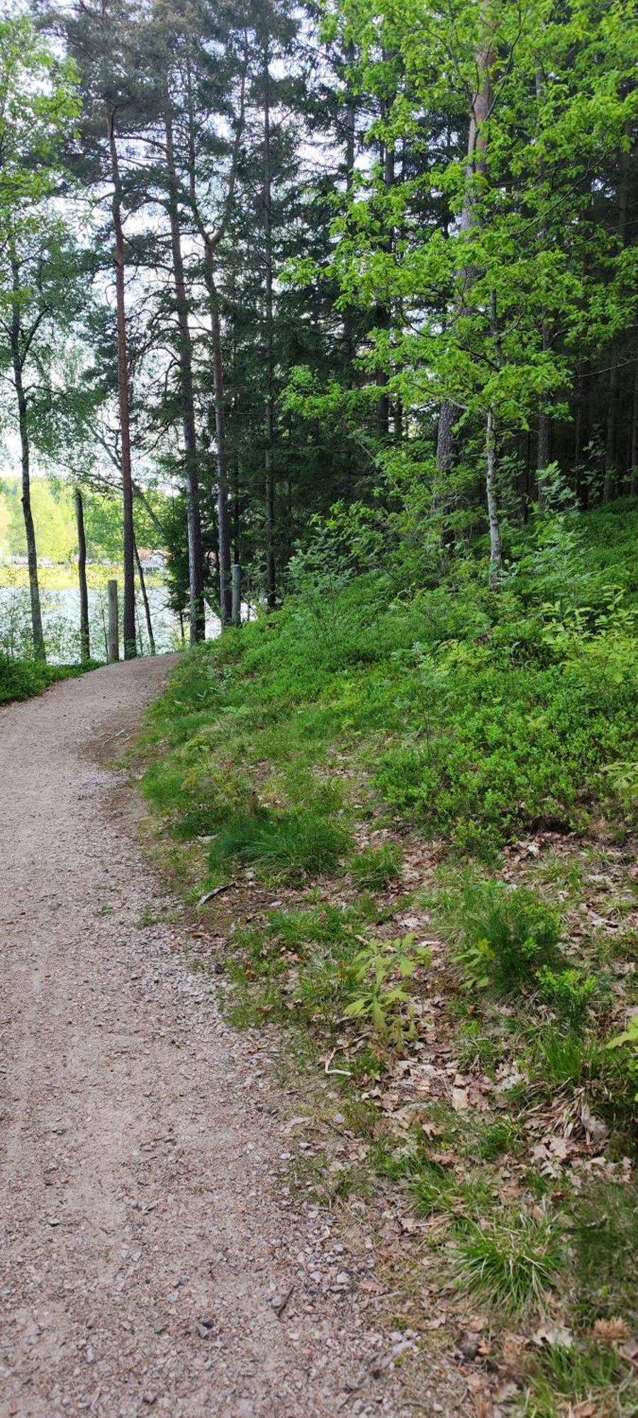 Hela Boendet Uthyres Overlida Bagian luar foto